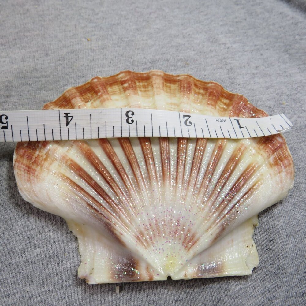 Sea Shell Blown Glass & Glittered with other Nautical Ornaments - Picture 8 of 15